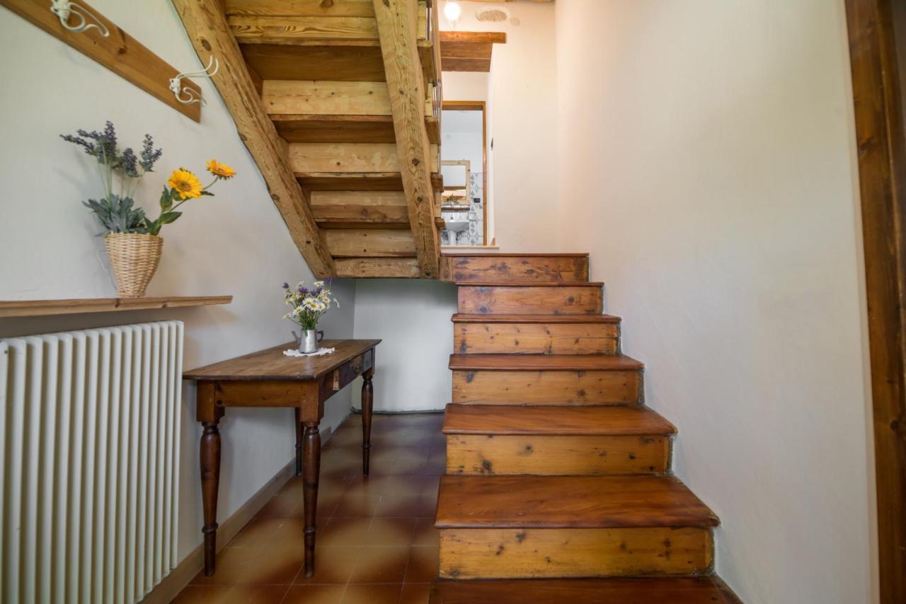 La Gerla Casa Vacanze Dolomiti Perarolo di Cadore Eksteriør bilde